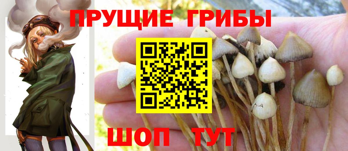 Галлюциногенные грибы ЛСД Кимовск