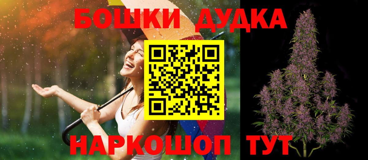 Конопля сатива Кимовск